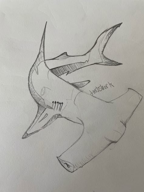 Megladon Shark Drawing, Hammer Head Shark Drawings, Hammerhead Drawing, Hammerhead Shark Drawing, Shark Sketch, Dolphin Drawing, Fish Sketch, Sea Drawing, Shark Drawing