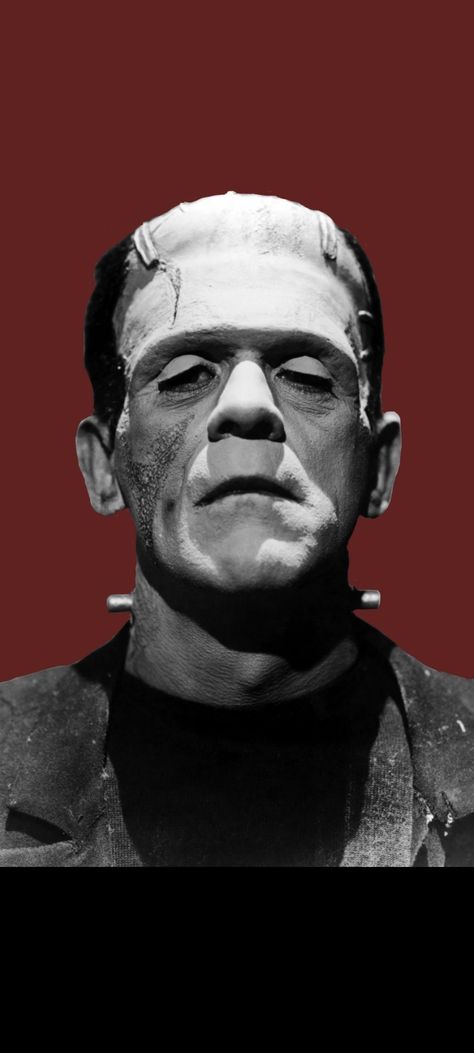 Frankenstein Boris Karloff, Monster Portrait Art, Spooky Reference Photos, Frankenstein Wallpaper Iphone, Frankenstein Concept Art, Frankenstein Moodboard, Universal Monsters Tattoo, Frankenstein Painting, Frankenstein Portrait