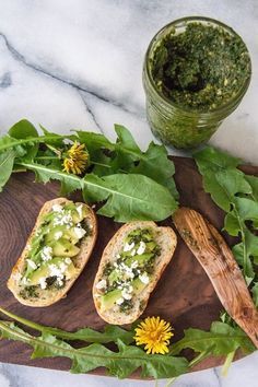 dandelion pesto recipe Dandelion Pesto Recipe, Dandelion Pesto, Edible Flowers Recipes, Wild Food Foraging, Foraging Recipes, Dandelion Jelly, Foraged Food, Herbal Recipes, Dandelion Recipes