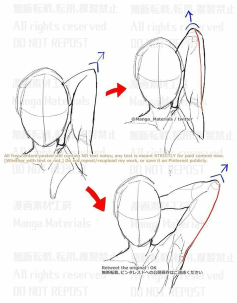 Body Drawing Tutorial, Anatomy Sketches, Body Reference Drawing, Figure Drawing Reference, Guided Drawing, Anatomy Reference, Anime Drawings Tutorials, Drawing Practice, Drawing Lessons