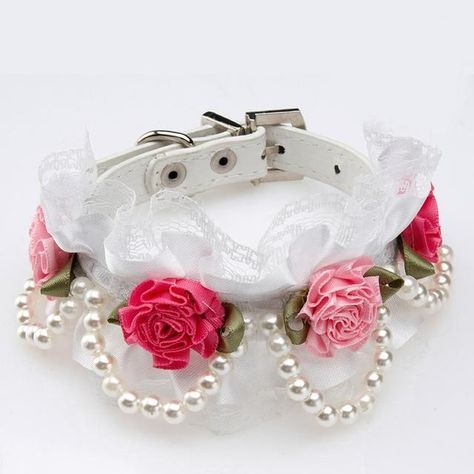 Diy Dog Collar, Birthday Accessories, Fancy Dog, Pretty Dogs, Dog Jewelry, Pearl And Lace, Rose Lace, Dog Costumes, Pet Necklace