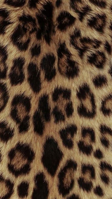 Animal Print Wallpaper Iphone, Leopard Wallpaper Aesthetic, Leopard Wallpaper Iphone, Glamour Leopard, Wallpaper Leopard, Glamour Wallpaper, Leopard Aesthetic, Cheetah Print Background, Leopard Print Background