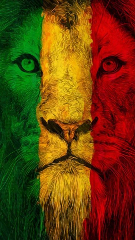 Rasta Flag Wallpaper, Rasta Flag, Rasta Culture, Flag Wallpaper, Lady Biker, Guatemala, Flag, Quick Saves