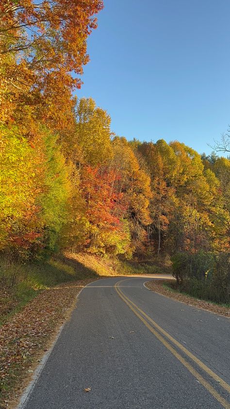 Fall views, fall vibes, fall aesthetic, fall destination, cozy cabin, mountain fall cabin vibes, north carolina, autumn, changing leaves, winding roads North Carolina Fall Travel, North Carolina In The Fall, Fall North Carolina, Autumn North Carolina, North Carolina Aesthetic, Charlotte North Carolina Aesthetic Night, Carolina Aesthetic, Fall In The South, North Carolina Fall