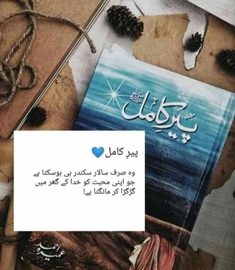 #peerekamil 📚🥀 Peer E Kamil, Salar Sikandar, Good Novels To Read, 1 Line Quotes, Feel Good Books, Novelist Quotes, Romantic Novels To Read, Happy Birthday Quotes For Friends, Mixed Feelings Quotes