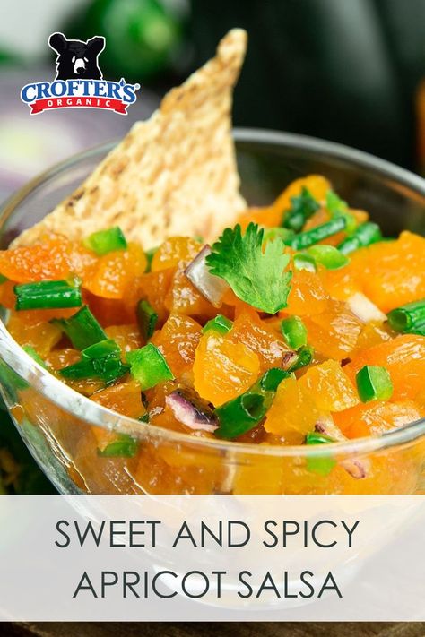 Sweet and Spicy Apricot Salsa makes the perfect party appetizer and is incredibly simple to make. This easy salsa recipe is full of flavor from our Apricot Premium Fruit Spread and uses fresh, simple ingredients for homemade salsa that is bursting with flavor. Don’t think you’re limited to only tortilla chips or your favorite crackers – braise a chicken with it, it pairs great with seafood like shrimp or crab, or add it to your fish tacos on Taco Tuesday Night. Save this salsa recipe for later! Apricot Salsa, Salsa For Tacos, Blackberry Brie, Jalapeno Salsa Recipe, Saucy Wings, Jalapeño Salsa, Crockpot Meatballs, Easy Party Appetizers, Easy Salsa Recipe