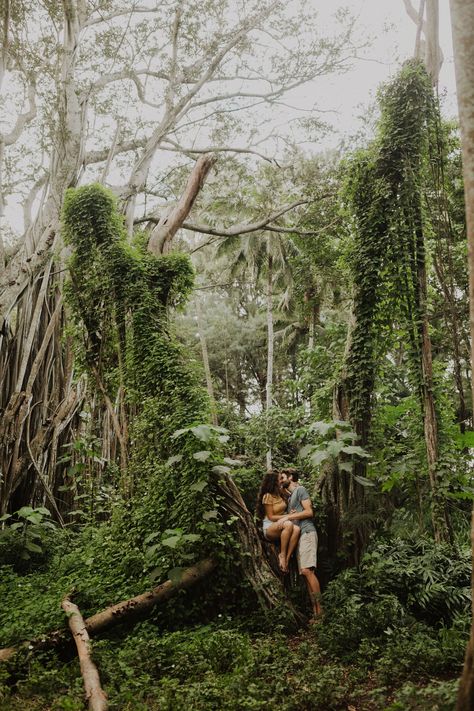 Oahu Hawaii Anniversary Photographer India Earl Hawaii Honeymoon Packing List, Hawaii Forest, Hawaii Adventures, Hawaii Pictures, Forest Engagement, Hawaii Photography, Mountain Engagement Photos, Hawaii Honeymoon, Engagement Inspiration