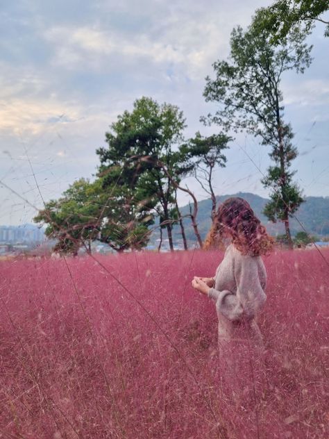 Pin’s Cafe Cheonan South Korea Pink Muhly, Cheonan, Long Winter Jacket, Long Winter, Pink Yellow, South Korea, Fall Colors, Cafe, Yellow