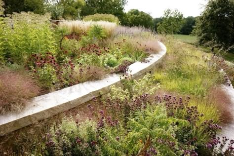 Adam-Woodruff-Finalist-Gardenista-Considered-Design-Awards-2 Naturalistic Garden, Sustainable Landscaping, Meadow Garden, Easy Landscaping, Traditional Landscape, Landscaping Tips, Cool Landscapes, Terrace Garden, Landscape Projects