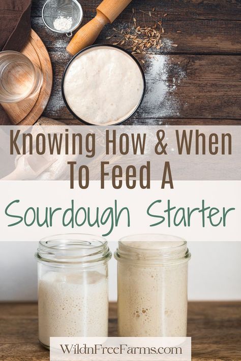 maintain a sourdough starter Frozen Sourdough Starter, How Much Sourdough Starter For Bread, How To Take Care Of Sourdough Starter, Uses For Sourdough Starter, Sourdough Starter Care, Sourdough Starter Maintenance, Taking Care Of Sourdough Starter, Sourdough Starter Recipe Ideas, What To Make With Sourdough Starter