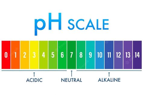 Skin Ph Scale, Ph Level Food Chart, Ph Levels Chart, Ph Scale Poster, Ph Scale, Skincare Clinic, Water Quality Parameters, Ph Water, Soap Images