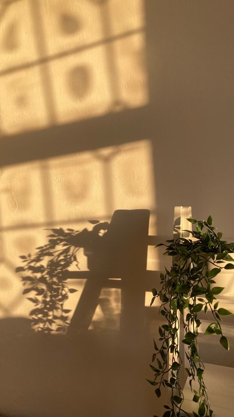 White Room, Green Plants, Room Aesthetic, Green Aesthetic, Wall Lights, Green, Wall, Plants, Home Decor