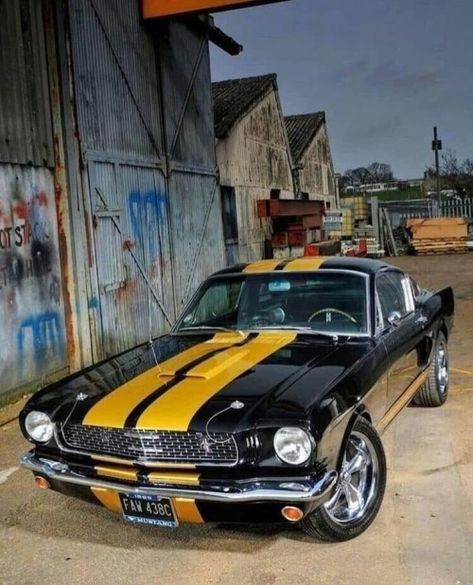 Mobil Mustang, Ford Mustang 1965, Ford Mustang Classic, Vintage Jeep, Auto Retro, Custom Muscle Cars, Mustang Fastback, Sweet Cars, Mustang Cars