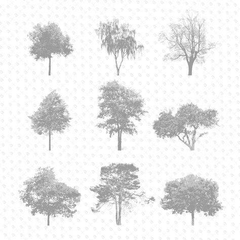 Photoshop Tree, Photoshop Black And White, Tree Render, Architectural Trees, Thermal Power Station, Landscape Architecture Graphics, Tree Photoshop, Seed Vault, Trees Png