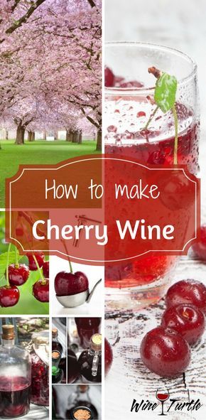 Want to make cherry wine from scratch? Check this cherry wine recipe out! Productive Hobbies, Homemade Spirits, Homemade Booze, Pomegranate Wine, Making Wine At Home, Homemade Wine Recipes, Diy Alcohol, Wine Course, Homemade Alcohol