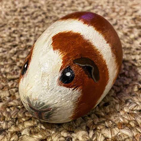 i paint rocks on Instagram: “Hamster rock painting #rockart #art #painting #rockpainting #amateurart #stoneart #stonepainting #hamster” Paint Rock, Rock Collection, Billiard Balls, Hand Painted Rocks, Billiard Table, Stone Art, Stone Painting, Rock Art, Painted Rocks