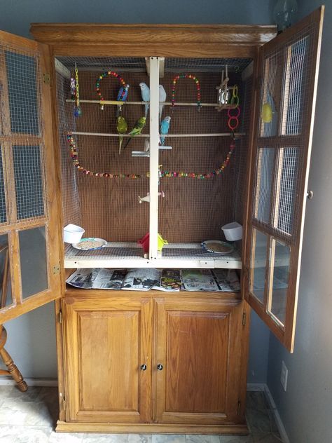 Diy Parakeet Cage, Diy Aviary, Rat Cage Diy, Bird Cage Ideas, Aviary Ideas, Ferrets Care, Pet Pigeon, Diy Bird Cage, Bird Cage Design