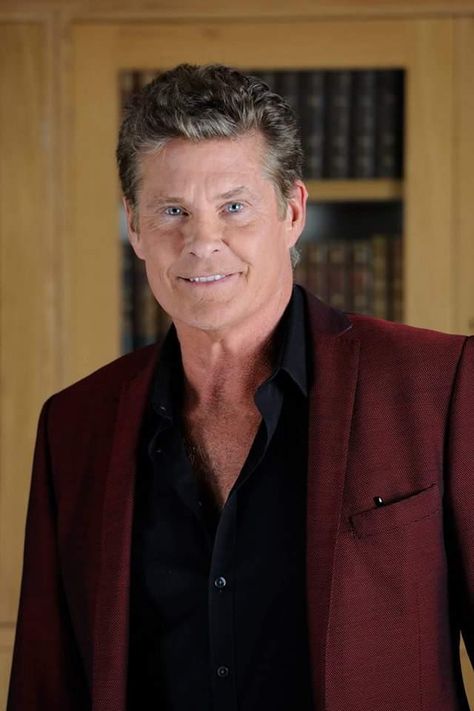 David Hasselhoff, David Boreanaz, David Michael, Knight Rider, The Knight, The Young And The Restless, Celebrity Portraits, Baywatch, Young And The Restless