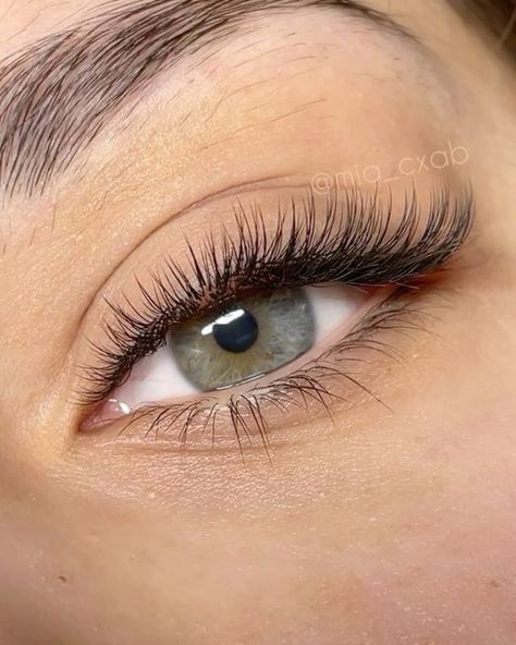 Classic Lash Extensions Styles, Lash Extensions Classic, Eyelash Extensions Classic, Natural Fake Eyelashes, Lashes Fake Eyelashes, Lash Styles, Cat Eye Lash, Eyelash Extensions Styles, Lash Extensions Styles