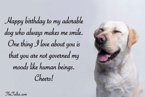 Cute Happy Birthday Wishes For Dog | TheTalka Dog Birthday Quotes, Dog Birthday Wishes, Cute Happy Birthday Wishes, Happy Birthday Dog, Birthday Quotes For Me, Dog Quotes Love, Cute Happy Birthday, Happy Birthday Quotes Funny, Birthday Wishes For Myself