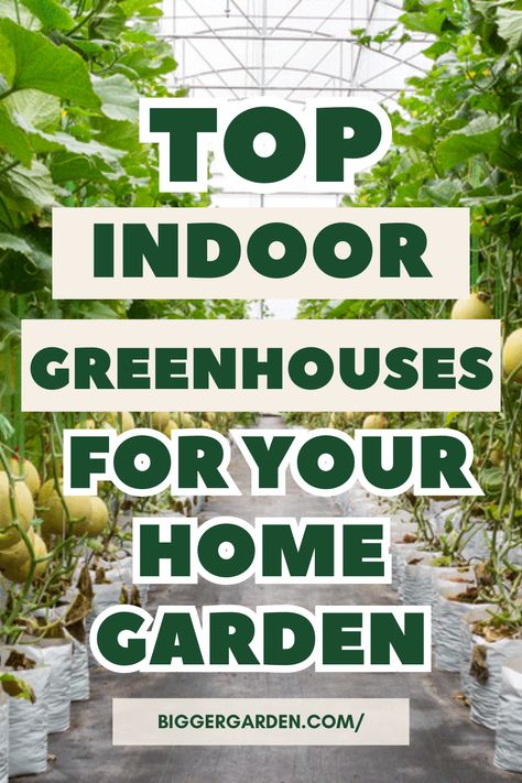 Explore the Best Indoor Greenhouse ideas with tips on Decorating A Greenhouse, Small Greenhouse Shelving Ideas, and Cute Greenhouse Ideas. Discover Small Greenhouse Ideas Diy, Greenhouse Interior Design, Greenhouse Furniture, Greenhouse Layout Interiors, and Small Backyard Greenhouse solutions. Greenhouse Shelving Ideas, Cute Greenhouse, Small Green House, Greenhouse Shelving, Miniature Greenhouse, List Of Vegetables, Portable Greenhouse, Walk In Greenhouse, Greenhouse Ideas