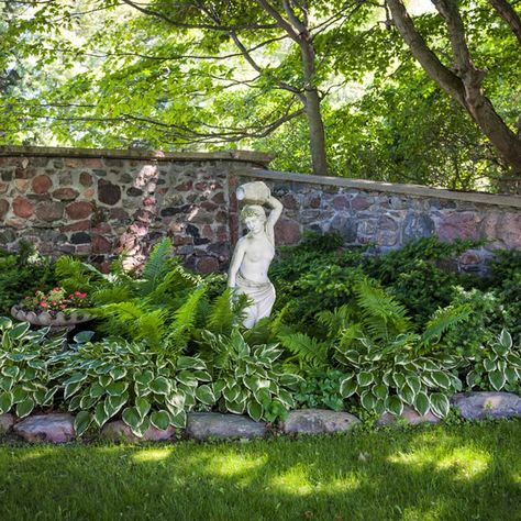 to Variegated Hosta, Shade Loving Shrubs, Japanese Painted Fern, Shade Shrubs, Shade Garden Plants, Hosta Gardens, Shade Perennials, Ground Cover Plants, Garden Pictures