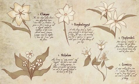 Long was the way that fate them bore...: Photo Eowyn Tattoo, Lotr Decor, Botanical Reference, Tolkien Tattoo, Lotr Tattoo, Lord Of The Rings Tattoo, Lotr Art, Reference Chart, Friendship Tattoos