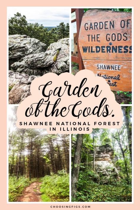 Garden Of The Gods Illinois, Illinois Hiking, Things To Do In Illinois, Daniel Boone National Forest, Ozark National Forest, Shawnee National Forest, Illinois Travel, Tongass National Forest, Forest Poster