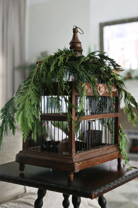 Birdcage Christmas Decor, Christmas Bird Cage Decor, Bird Cage Christmas Decor Ideas, Christmas Birdcage Ideas, Birdcage Decor Ideas, Christmas Bird Cage, Birdcage Decor, Bird Cage Design, Bird Cage Centerpiece