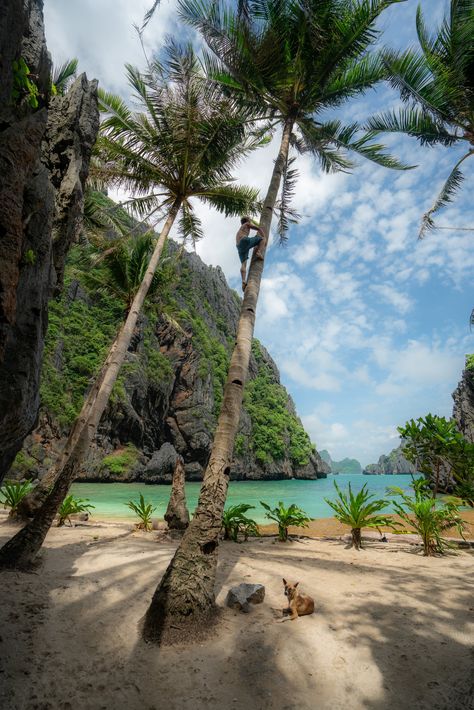 best things to do el nido Beaches In The Philippines, Philippines Country, Philippines Palawan, Philippines Vacation, Visit Philippines, Philippines Beaches, Palawan Philippines, Philippines Travel, South America Travel