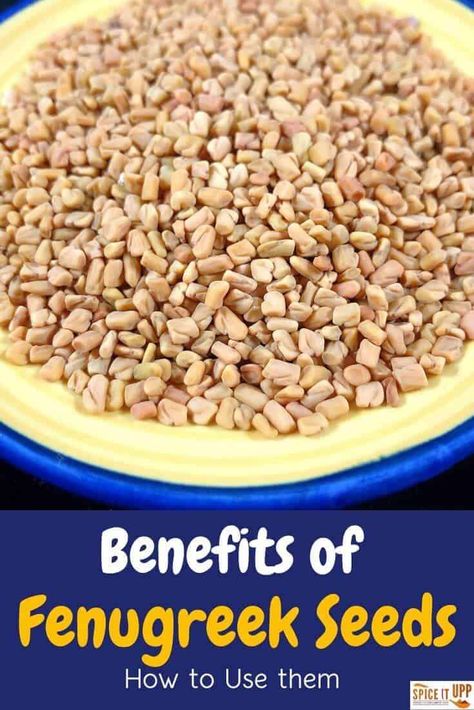 What Are Fenugreek And How to Eat Fenugreek Seeds - Spiceitupp Benefits Of Fenugreek Seeds, Benefits Of Fenugreek, Fenugreek Tea, Homemade Curry Powder, Fenugreek Benefits, List Of Spices, Chia Seed Recipes, Fenugreek Leaves, Curry Spices