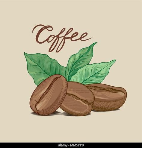 Coffee Banner, Sketch Line Art, Coffee Bean Art, Handwritten Lettering, Coffee Artwork, Coffee Drawing, Coffee Cards, Leaf Drawing, Retro Background