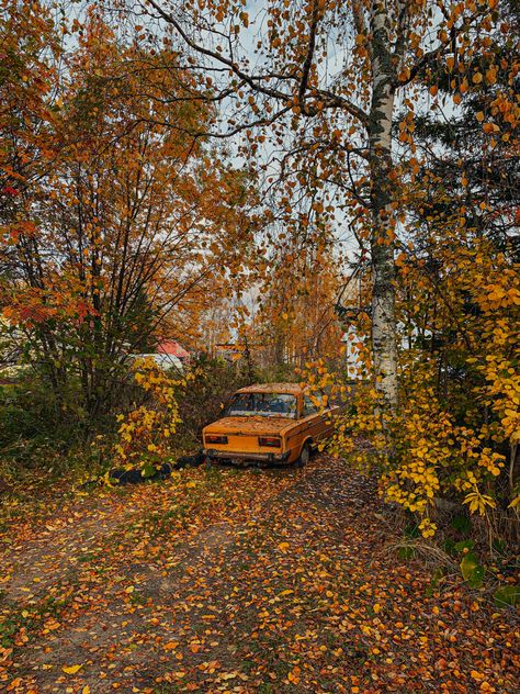 Autumn Village, Hygge Autumn, Aesthetic Village, Mood Aesthetic, Autumn Forest, Spring Has Sprung, Autumn Aesthetic, Fall 2024, Autumn Day