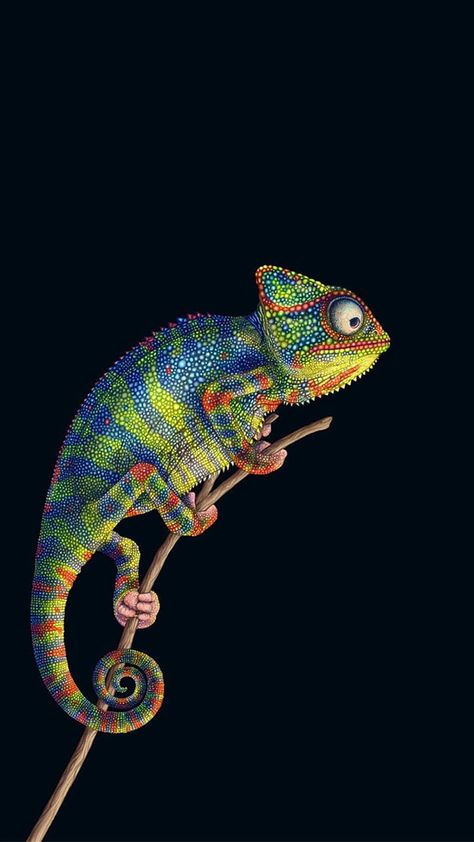 Cameleon Art, Illustration Design Poster, Colorful Lizards, Chameleon Art, Web Advertising, Skin Bumps, Wild Animals Pictures, Nature Conservation, Reptiles And Amphibians