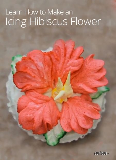 Hibiscus Cake, Hibiscus Tree, Frosting Flowers, Frosting Techniques, Cupcake Tutorial, Icing Techniques, Icing Flowers, Hibiscus Plant, Flower Cupcakes