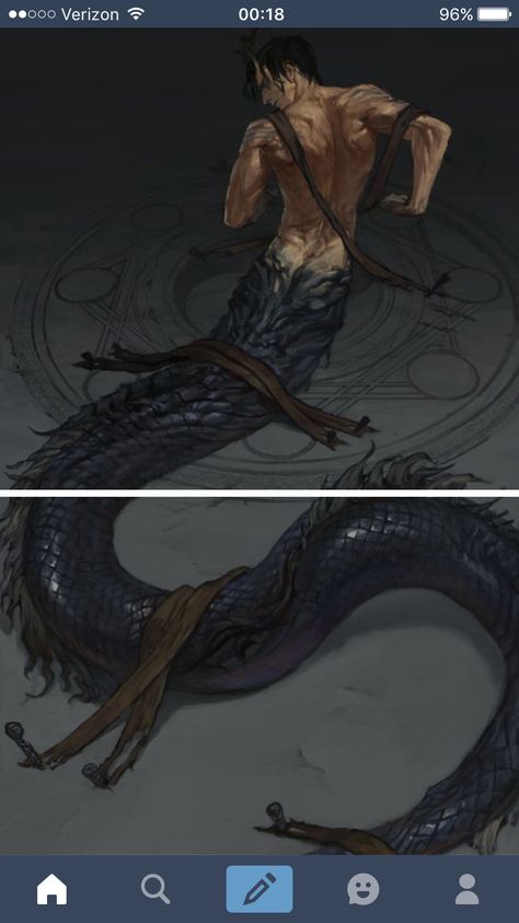 Art by Donox Hhw Fantasy Mermaids, Mermaids And Mermen, Fantasy Creatures Art, Mythical Creatures Art, Creature Concept Art, Fantasy Concept Art, Mermaid Art, 판타지 아트, Creature Concept