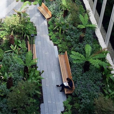 Healing Garden, Landscape Architecture Design, Landscape Designs, Green Architecture, Chelsea Flower Show, Tropical Landscaping, Roof Garden, Plant Design, Tropical Garden