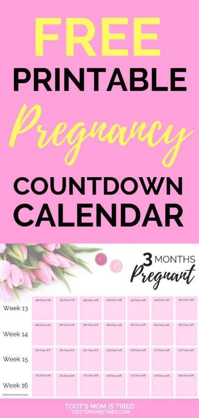 Free Printable Pregnancy Countdown Calendar | Mark off the days of your pregnancy with a check, a sticker, or a memory. It makes a great keepsake! And it's free! Free pregnancy printables, first trimester, second trimester, third trimester, pregnant, #pregnancy #pregnant #newmom Baby Announcement Second Child, Count Down Calendar, Countdown Calendar Printable, Pregnancy Countdown, Pregnancy Calendar, Pregnancy Advice, Pumping Moms, Second Trimester, Countdown Calendar