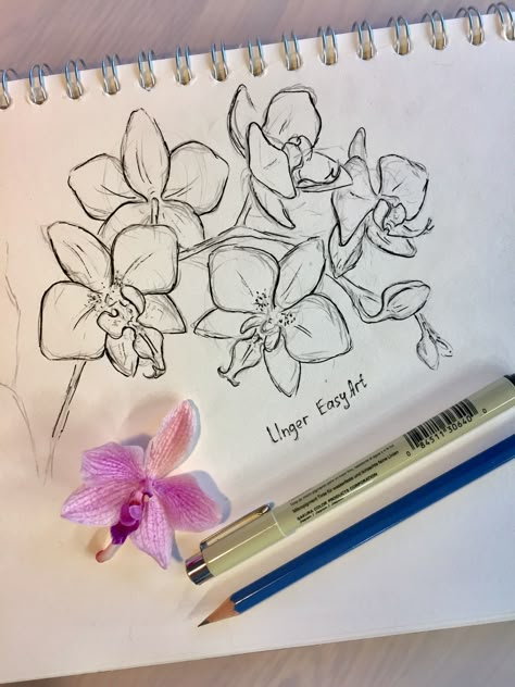 Flowers Drawing Orchids, Orchid Art Drawing, Orchids Drawing Sketches, Orchid Design Drawing, Drawing Of Orchids, Orchid Flower Sketch, How To Paint Orchids, Orchid Painting Acrylic Easy, Orchid Mantis Drawing