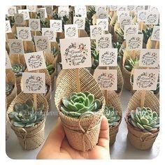 Lilin Aroma, Succulent Wedding Favors, Succulent Favors, Wedding Favors Cheap, Succulent Wedding, Diy Wedding Flowers, Wedding Souvenirs, Bridal Shower Decorations, Wedding Favor