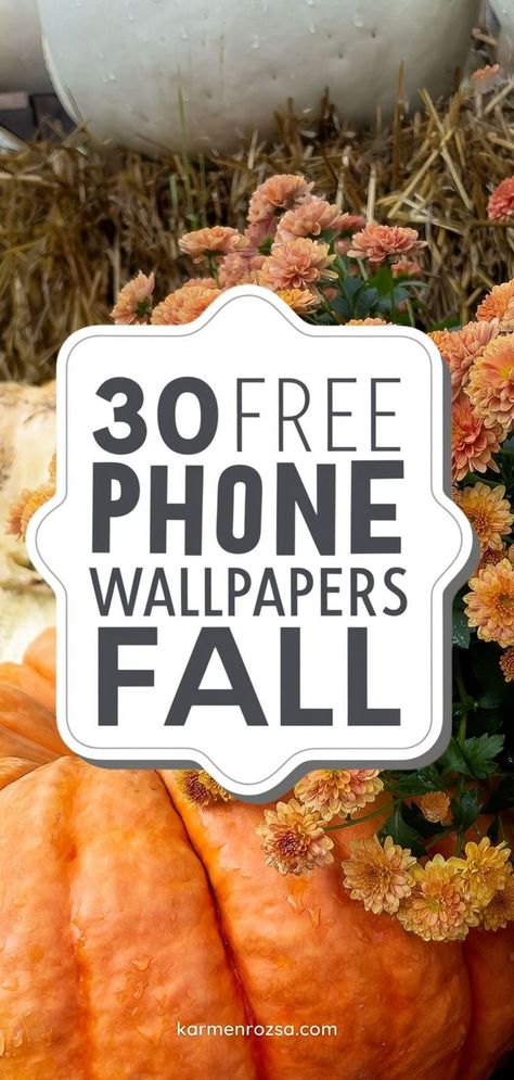 30 Free phone wallpapers for fall. Wallpapers to download on your phone. Searching for the perfect fall phone wallpapers? These free wallpapers are ready to download and add some seasonal charm to your iPhone or Android. From cozy leaves to pumpkin spice vibes, find the best wallpapers to download and refresh your device this season. Wallpapers For Fall, Winter Wallpapers, Cozy Winter Decor, Snowy Field, Fall Wallpapers, The Best Wallpapers, Winter Sunrise, Best Wallpapers, Free Phone Wallpaper