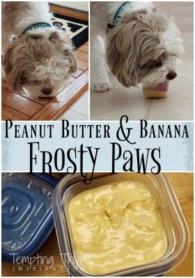 Frosty Paws Recipe, Healthy Frosty, Frosty Paws, Greek Yogurt And Peanut Butter, Peanut Butter Yogurt, Peanut Butter And Banana, Christmas Boxes, Wonderful Weekend, Peanut Butter Banana