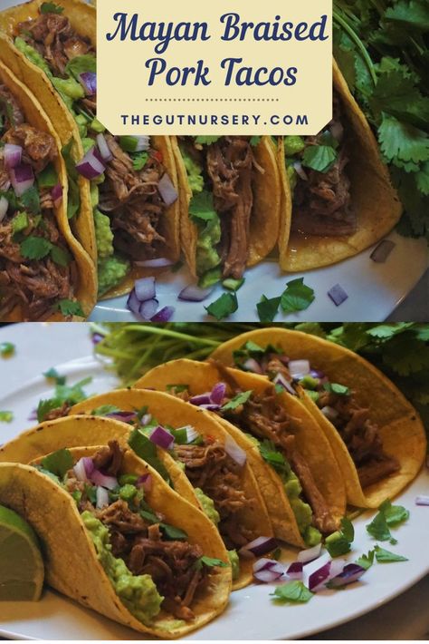 Mayan Food, Honduran Recipes, Belize Food, Guatemalan Recipes, Delicious Family Meals, Pork Tacos, Braised Pork, Whole Grains, New Flavour