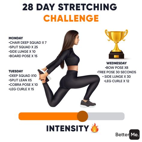 28 Day Stretching Challenge Check more at https://testa.my.id/?p=12680 Stretching Challenge, Bow Pose, Cobra Pose, Side Lunges, Workout Days, Tree Pose, Fitness Lifestyle, Fitness Journey, Workout Food