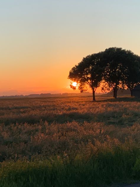 Sunsets Landscapes, Sunset Countryside, Acrylic Landscapes, Countryside Photos, Countryside Photography, Country Sunset, Perfect Pic, Country Aesthetic, Aesthetic Lockscreens