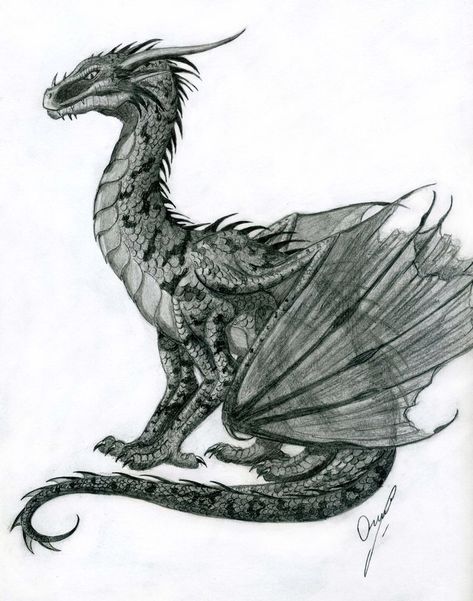 Sitting dragon by Chickenzaur on deviantART Sitting Dragon, Easy Dragon Drawings, Drawings Photos, Dragon Poses, Small Dragon Tattoos, Dragon Pictures, Dragon Wings, Dragon Artwork, Dragon Drawing