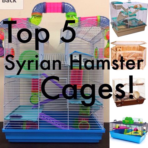 The best Cages for Syrian hamsters online! Big Hamster Cages, Syrian Hamster Cages, Winter White Hamster, Cool Hamster Cages, Robo Hamster, Hamster Tube, Large Hamster Cages, Classroom Pets, Hamsters As Pets