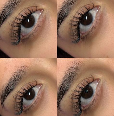 Using classic 10-13mm .15 and spikes 10-14mm .05 Classic Lashes Extensions, Wet Set Lashes, Wispy Hybrid, Classic Lashes, Lashes Extensions, Wet Set, Lash Extensions, Eyelashes, Lashes