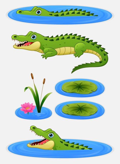 Set of cartoon crocodile and water lily Cartoon Crocodile, Crocodile Illustration, Crocodile Cartoon, Jungle Theme Cakes, Water Drawing, Jungle Theme, Water Lily, Free Vector Art, Themed Cakes