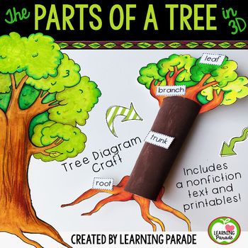 Familiarize your students with the basic parts of a tree using this fun paper craft activity. Perfect for use during your Arbor Day (April 27th) or Earth Day celebrations. Included in this pack: - an original nonfiction text - a tree diagram - 3D paper Tree Paper Craft, Parts Of A Tree, Simple Paper Craft, Tree Life Cycle, Human Body Worksheets, Tree Diagram, Arbor Day, First Grade Science, Tree Study